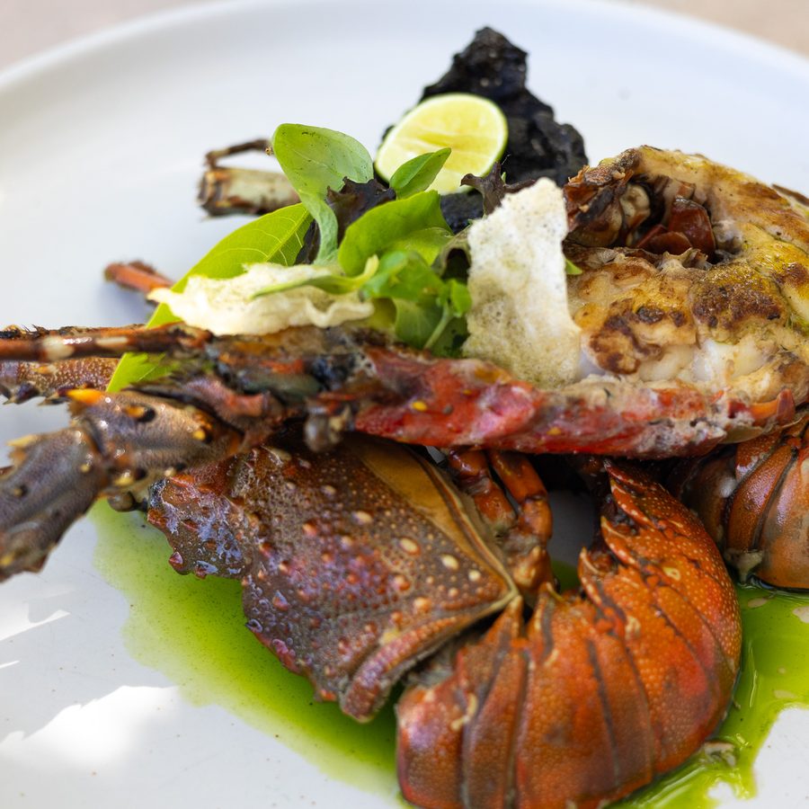 Grilled rock lobster with herbs and a green sauce