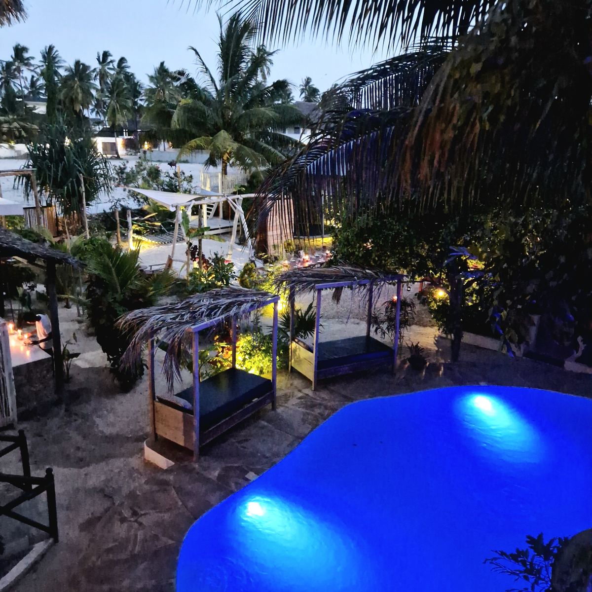 The garden and the lit pool at dusk, seen from above