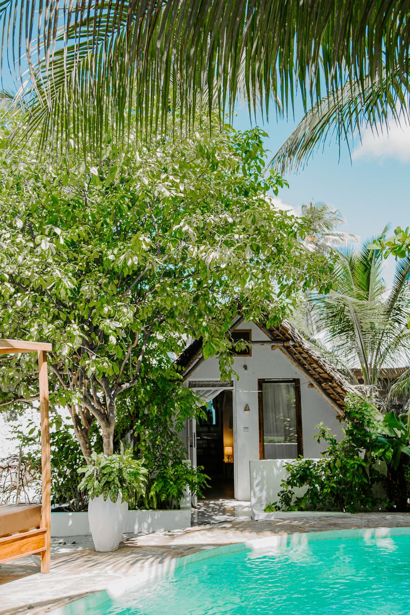 Pool and thatched bungalow under palm trees